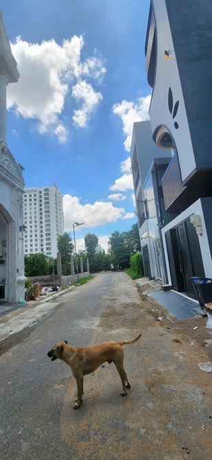 CĂN HỘ DỊCH VỤ SIÊU DÒNG TIỀN - KHU BIỆT THỰ KIỀU ĐÀM - HIM LAM - THU NHẬP 1.8 TỶ/NĂM - 1