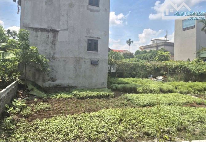Siêu hiếm Lô đất hơn 50m² ngay sau trường tiểu học Hùng Vương - Hồng Bàng giá 1,55tỷ - 1