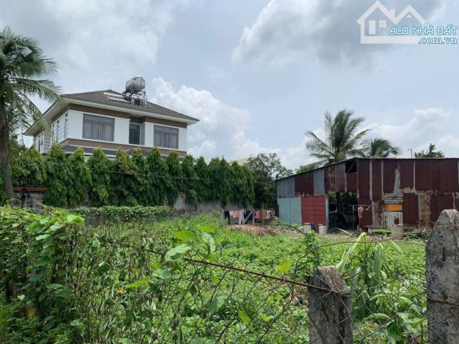 BÁN LÔ ĐẤT (15x17) LÔ GÓC 2MT ĐẸP NHỊ BÌNH (ĐÔNG THẠNH MỚI), HÓC MÔN - 1