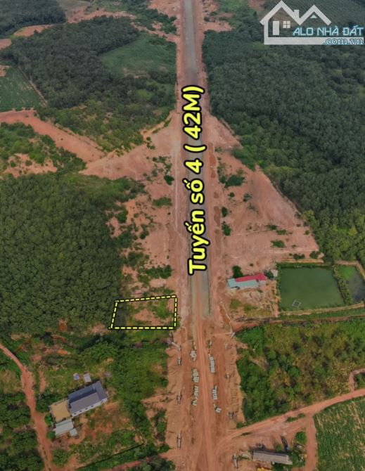 1800m2 đất Tuyến 4 có 44m mặt tiền giá 3 tỉ thương lượng - 1