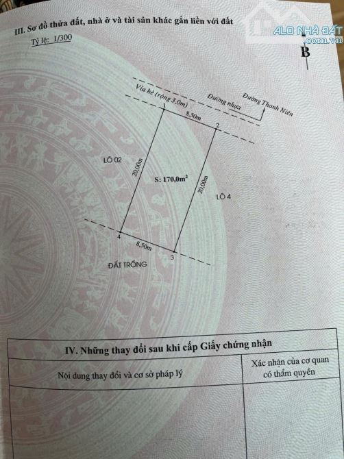 Lô biệt thự tuyến 2 Thanh Niên, Ngọc Xuyên, Đồ Sơn, Hải Phòng 170m. - 1