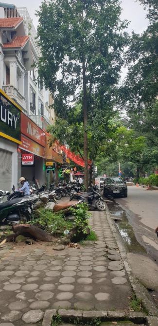 ✅ BÁN BIỆT THỰ MẶT PHỐ HẠNH HOA XA LA 120M² X 4T X MT 7,5M GIÁ 42 TỶ - 1