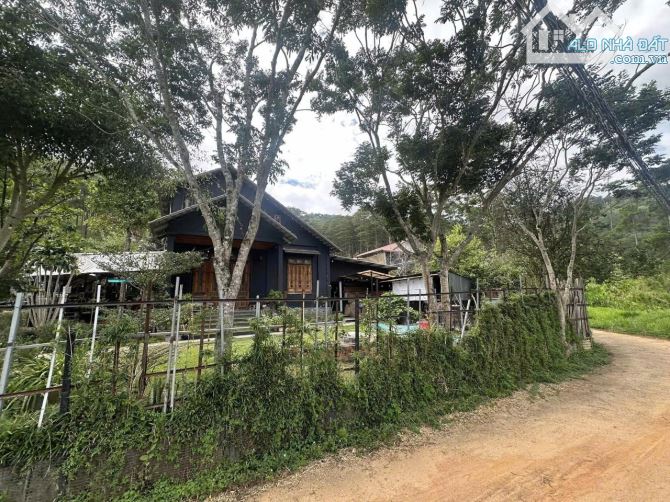 Bán Đất Nghỉ Dưỡng Ngay Chân Đèo Pren – Tổ Hợp Villa Riêng Biệt Giữa Núi Rừng Hiệp An - 1