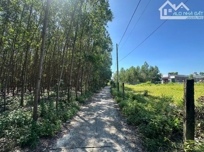 5x27m (135m2) 62,5m2 thổ cư Hẻm Lý Nam Đế Gía Rẻ 650 triệu Cách Biển LAGI 10 Phút - 1