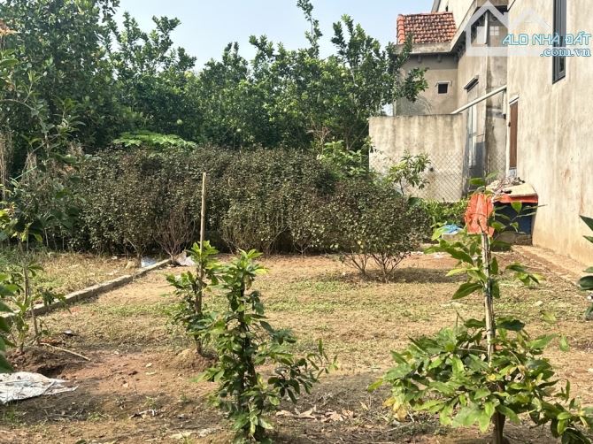 BÁN ĐẤT MỄ SỞ VĂN GIANG- VÀNH ĐAI 4-Ô TÔ ĐỖ CỬA- ĐẤT VUÔNG VẮN-52m2-2,6 tỷ. - 1