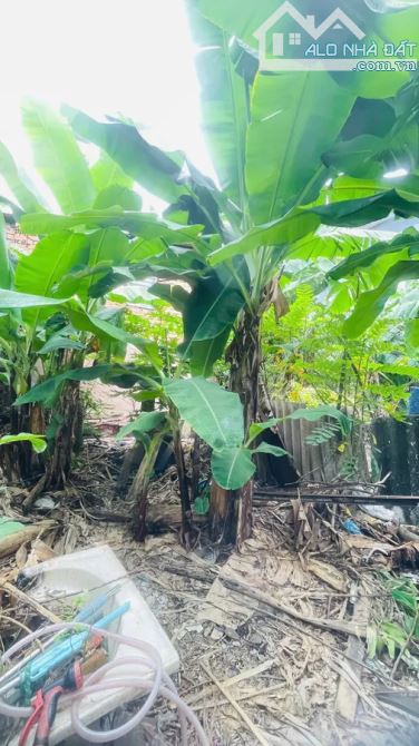 QUỸ ĐẤT VÀNG HIẾM – MẶT TIỀN XÔ VIẾT NGHỆ TĨNH – BÌNH THẠNH NGANG 6M - 1