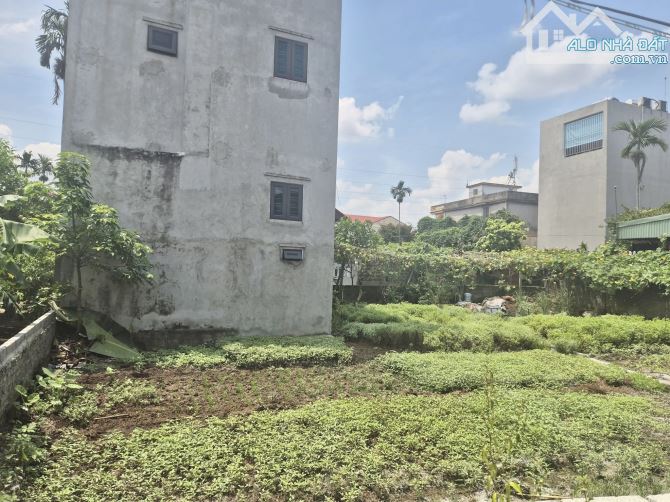 Bán đất 50,7m2 tại tuyến 2 ngõ Trương Văn Lực Hùng Vương, Hồng Bàng giá 1,55 tỷ - 1