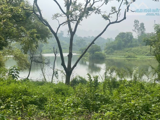 SIÊU PHẨM NGHỈ DƯỠNG VEN HỒ ĐỒNG SƯƠNG LƯƠNG SƠN ,HÒA BÌNH – GIÁ CỰC TỐT CHO NHÀ ĐẦU TƯ - 1