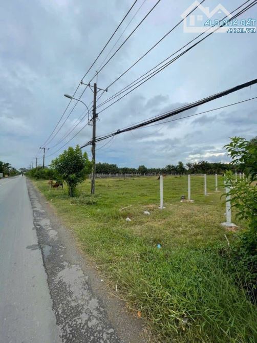 Bán đất Mặt Tiền Nguyễn Thị Rành xã Tân An Hội cách QL22 600m 848m2 100m thổ - 1