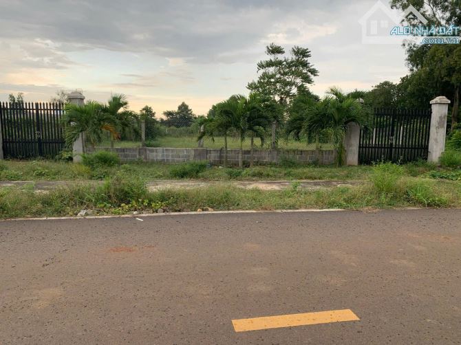 BÁN LÔ ĐÂT 1000M2 CÓ 200M TC ĐƯỜNG NHỰA ĐOÀN TRUNG CÒN TT ĐẤT ĐỎ ,BRVT - 1