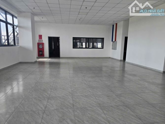 Cho thuê kho xưởng 10.000m2 – 17.000m² KCN Long Hậu, giá : 4.37 USD/m² - 1