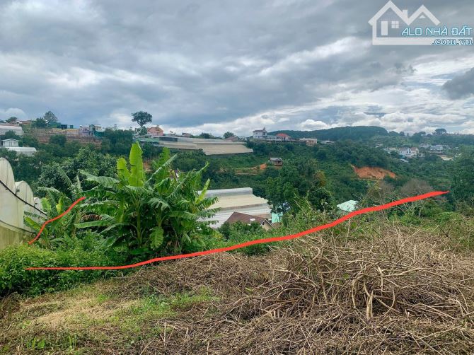 Đà Lạt - Đất nn chuyển được thổ cư - Xuân Trường - 1000m2 - 2,8 tỷ - 1