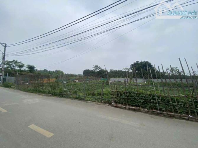 Bán đất TĐC Đông Hội Đông Anh- Phân Lô - Vỉa Hè- trục chính cầu Tứ Liên- 60m nhỉnh 10 tỷ( - 1