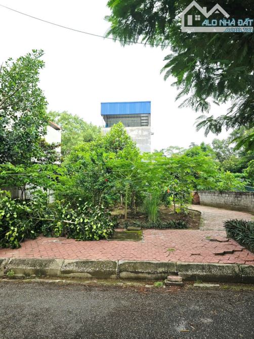 BÁN  LÔ ĐẤT PHÂN LÔ – AN TRÌ, HÙNG VƯƠNG, HỒNG BÀNG, HẢI PHÒNG - 1