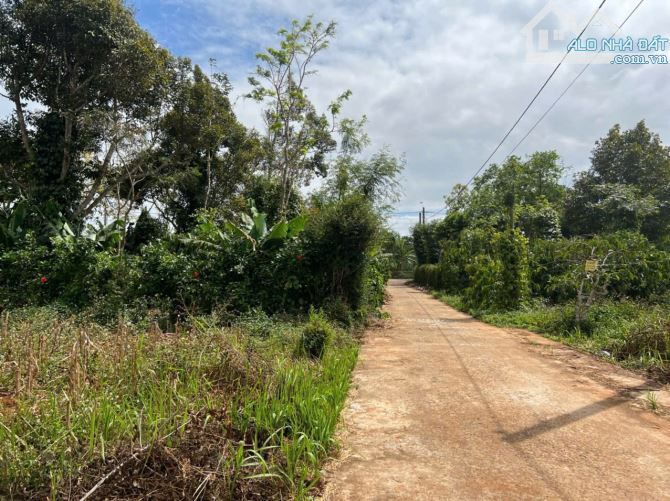 BÁN LÔ ĐẤT EATU. BUÔN KOTAM. KM 11 QL26. BMT, 800Triệu - 1