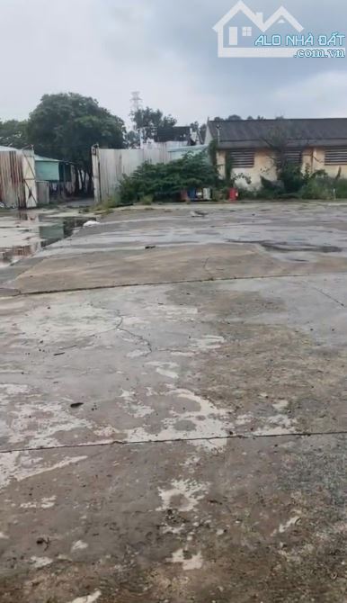 * Cho thuê đất*3000m2 nền bê tông đường Võ Nguyên Giáp, phường Trường Thọ, Quận Thủ Đức - 1