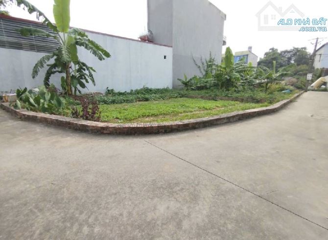 Lô góc quá đẹp .Giá cực tốt -83m full sổ đỏ chính chủ -Đồng Lạc -Tiên Dược -Sóc Sơn - 1