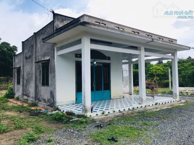 Bán nhà vườn sát đường Nguyễn Văn Khạ xã Phú Hòa Đông Củ Chi TPHCM, DT: 38x38m. - 1