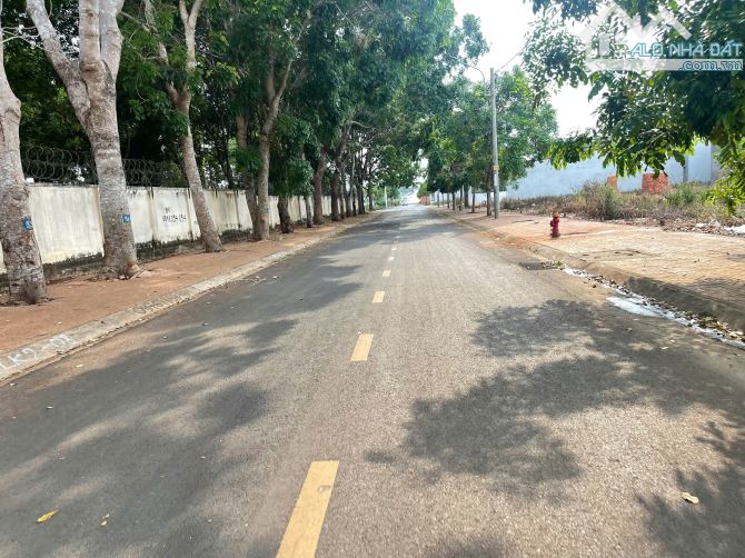 💥Đất Đấu Giá Tân Phong,gần Phạm Văn Đồng,Nhiều lô khác - 1