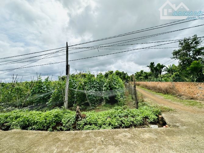 💥Đất rộng thổ cư 2 mặt tiền thôn 8 Cư Ebur - 15 x 30m - chỉ 1.950 tỷ - 1