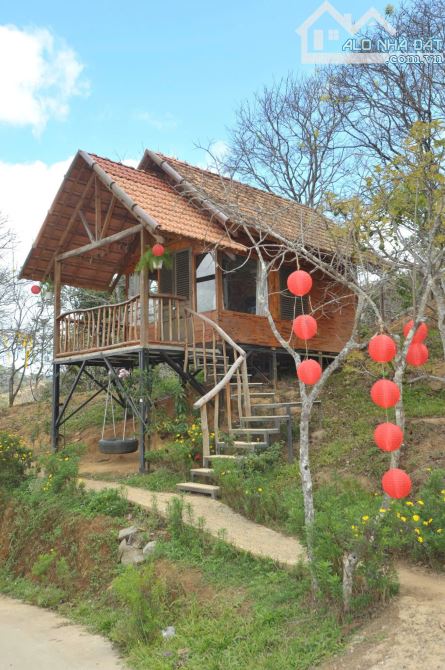 ✨ CƠ HỘI VÀNG – SANG NHƯỢNG HOMESTAY DU AN GARDEN TẠI D’RAN, LÂM ĐỒNG - 1