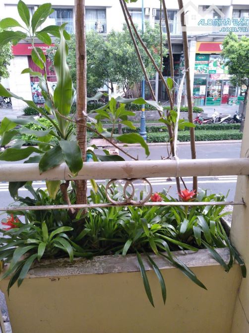 MT Nguyễn Hữu Hào P9 Q4 44m2 không quy hoạch giải tỏa - 1