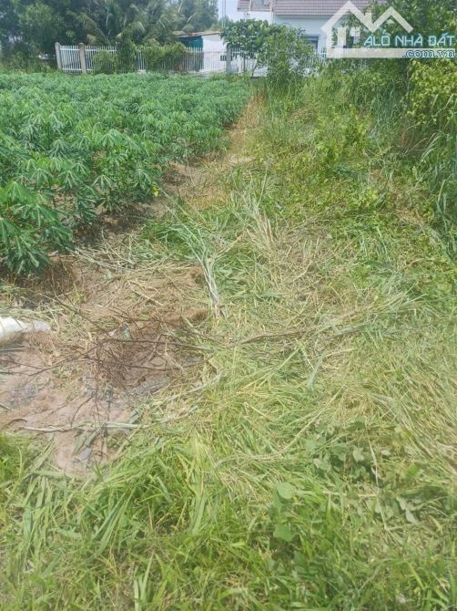 Bán lô đất đường xe hơi Hà Huy Tập, Vĩnh Thanh, Nhơn Trạch, Đồng Nai - 14