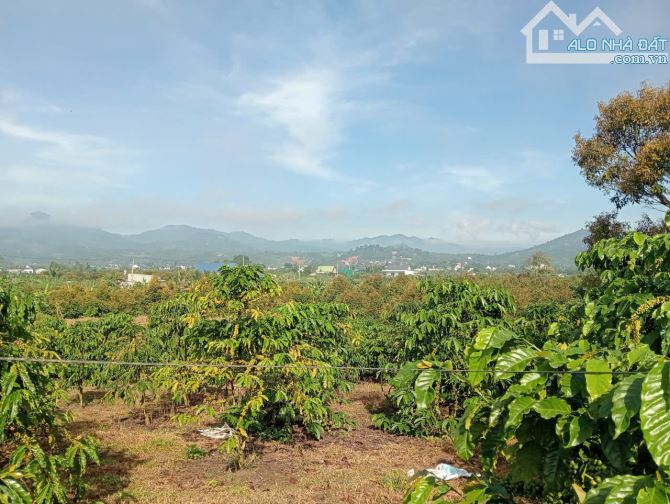 2.8 sào cafe phường 3 Bảo Lộc, 200m thổ cư. - 2