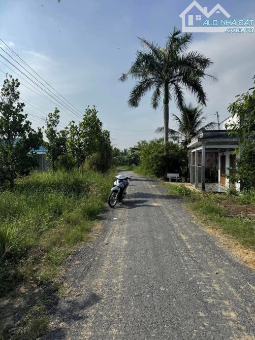 💎Cặp nền Đất Đẹp (5 x 29m) nhựa đê bao Long Hưng gần Công ty May Việt Long Hưng - 2