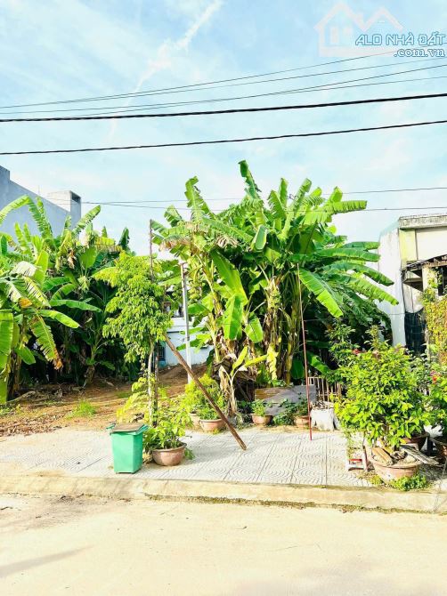 📌📌📌LÀM VIỆC TRỰC TIẾP GIÁ TỐT !!!🔶bán lô phiếu trắng hòa phong - 2
