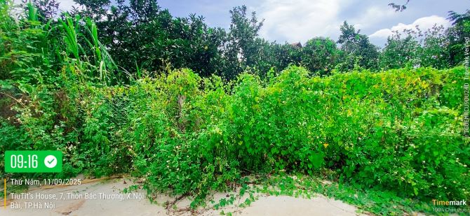 View hồ Quang Tiến- Sóc Sơn- DT 102m2-Chỉ 2.x tỷ-Đường thông- Oto tránh. - 2