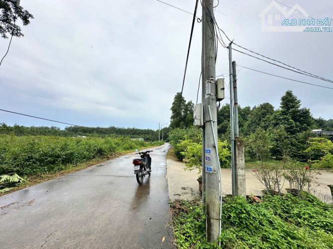 BÁN LÔ ĐẤT BÊ TÔNG  BẦU BÀNG DIỆN TÍCH KHỦNG - 2