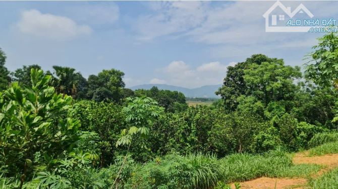 Đất đẹp Minh Quang, Ba Vì, 2020m, 150tc, view núi, đg thông, gần TL 415, chỉ 3.1tỷ - 2