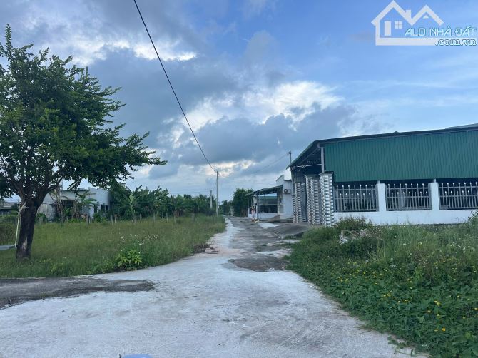 12x43(506m2) 60m2 tc Hẻm Đinh Công Tráng Tân Tiến Giá Rẻ Gần Biển - 2