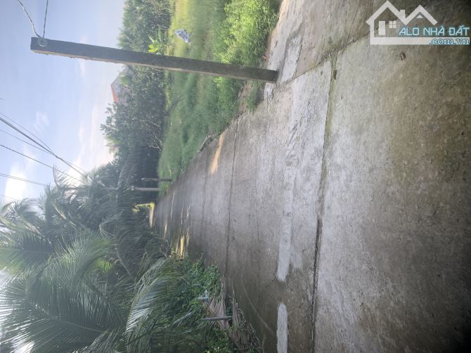 Nền Mỹ Phong gần THCS Lê Văn Nghề - 2