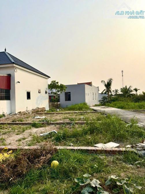 61,5m2 Trung Nghĩa, Đồ Sơn gần khu công nghiệp - 2