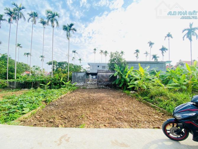 Bán 70m2 Đất Thôn Hầu, Lâm Động, Ngang 6,5m, Oto Đỗ Cửa, Hướng Nam, Giá chỉ 1,x tỷ - 2