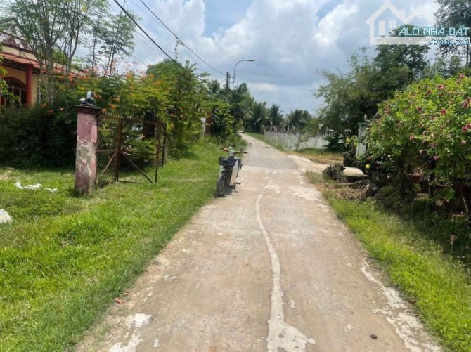 Bán đất góc 2 mặt tiền đường xe tải xã Trung Lập Thượng Củ Chi TPHCM, DT: 14x23m. - 2