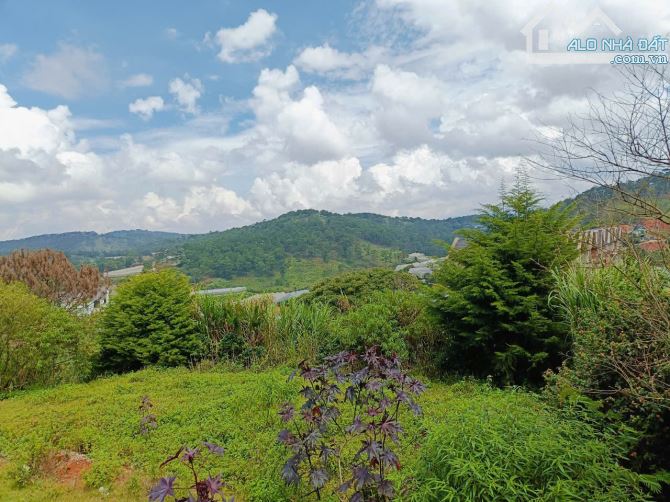 Bán Đất Biệt Thự Mặt Tiền Măng Lin, Phường 7, TP. Đà Lạt – View Núi & Đồi Thông Thơ Mộng - 2