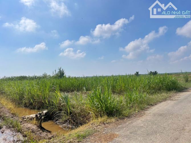 1 công đất thổ - vườn, mặt tiền nhựa gần biển Rạch Bùn, Tân Điền, TG bán 1 tỷ. - 2