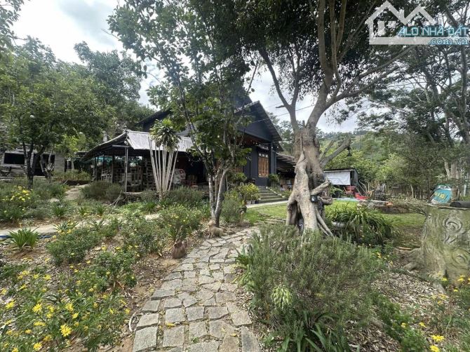 Bán Đất Nghỉ Dưỡng Ngay Chân Đèo Pren – Tổ Hợp Villa Riêng Biệt Giữa Núi Rừng Hiệp An - 2