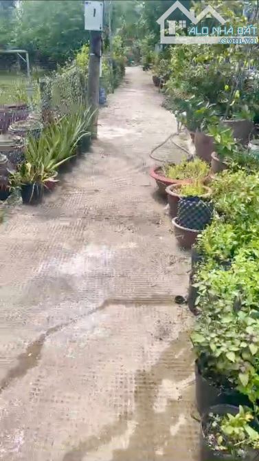 Bán lô đất đường An Thới Đông, Xã An Thới Đông, Cần Giờ - 2
