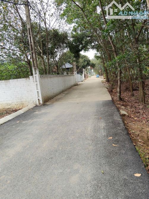 .	🔥 Bán nhanh lô đất 99m² Tân Xã – Bình Yên, xem là mê - 2