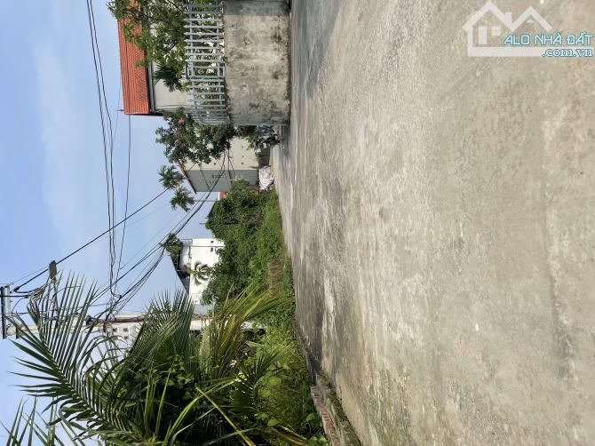 Cơ hội hiếm: Lô đất 42m² nở hậu, mặt tiền 4.2m – Kim Sơn Gia Lâm chỉ hơn 2 tỷ - 2