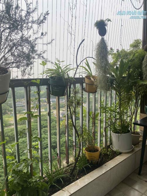 Bán chung cư Ecolife Capitol 58 Tố Hữu căn góc 102m 3PN ban công ĐN thoáng mát giá 8,x tỷ - 2