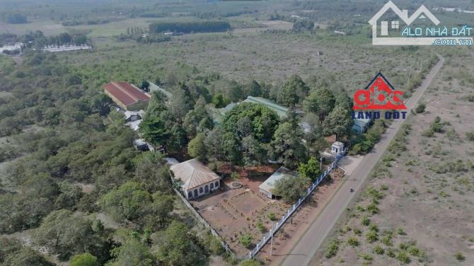 Bán xưởng đang hoạt động sản xuất thủ công mỹ nghệ - 2