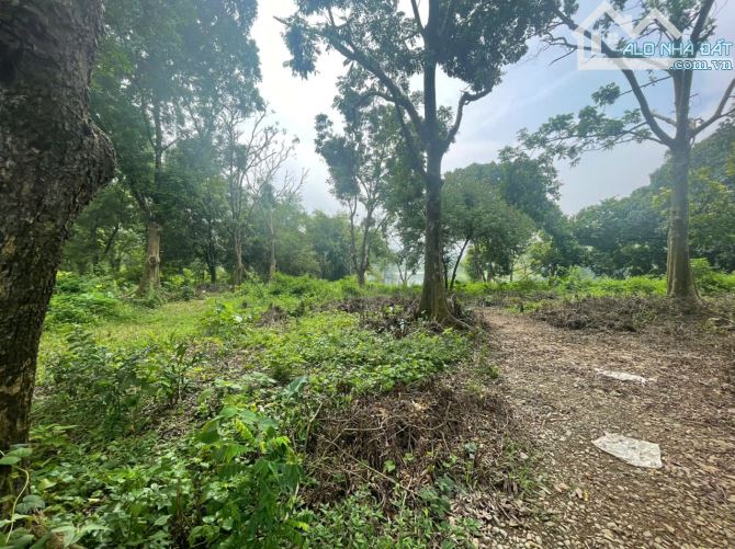 SIÊU PHẨM NGHỈ DƯỠNG VEN HỒ ĐỒNG SƯƠNG LƯƠNG SƠN ,HÒA BÌNH – GIÁ CỰC TỐT CHO NHÀ ĐẦU TƯ - 2