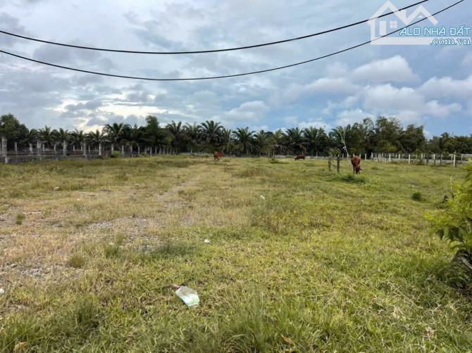 Bán đất Mặt Tiền Nguyễn Thị Rành xã Tân An Hội cách QL22 600m 848m2 100m thổ - 2