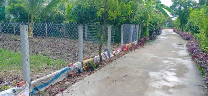 🔥 BÁN GẤP – ĐẤT 638m² (159m² thổ cư) – LƯƠNG PHÚ, VĨNH LONG 🔥 - 2