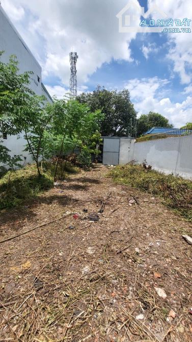 🏡 BÁN ĐẤT GIÁ RẺ – ĐÔNG THẠNH, HÓC MÔN – 232M² – NGANG 8.3 M- HẺM XE TẢI – CHỈ 6.7 TỶ - 2